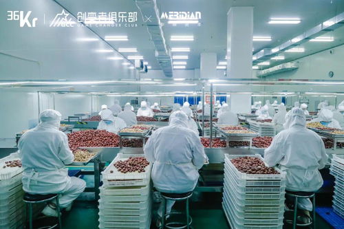 源頭工廠(chǎng) 消費(fèi)產(chǎn)業(yè)增長(zhǎng)的韌性引擎——互聯(lián)網(wǎng)銷(xiāo)售新業(yè)態(tài)下的產(chǎn)業(yè)帶計(jì)劃